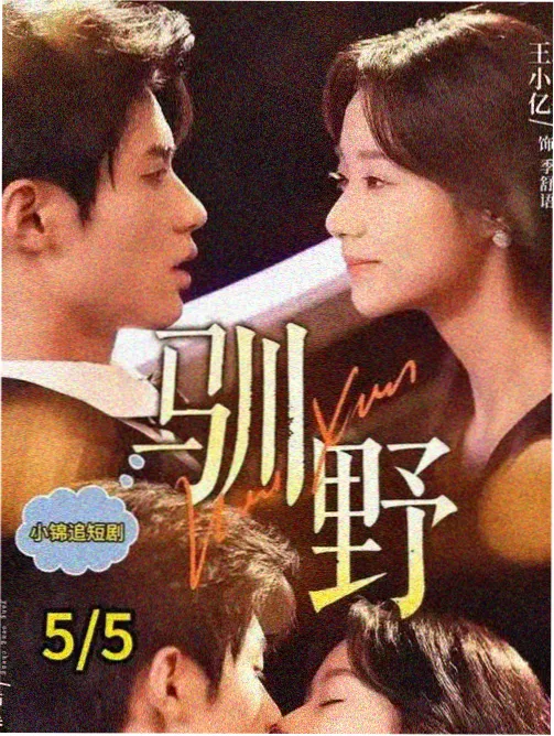 曼达洛人 天美影院在线观看